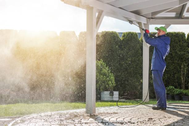 Best Gutter Cleaning and Brightening in Branson, MO